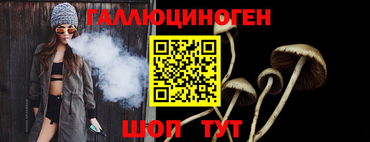 Псилоцибиновые грибы Psilocybine cubensis  Вход с VPN  Кострома  Галлюциногенные грибы мицелий 